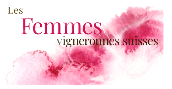 images/video.png#joomlaImage://local-images/video.png?width=586&height=305