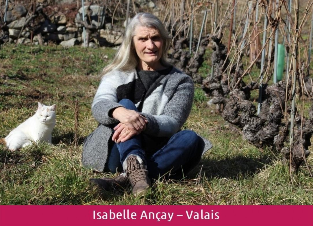 images/vigne-rolle/vigneronnes/Ancay%20Isabelle%20rose_page-0001.jpg#joomlaImage://local-images/vigne-rolle/vigneronnes/Ancay Isabelle rose_page-0001.jpg?width=1083&height=782