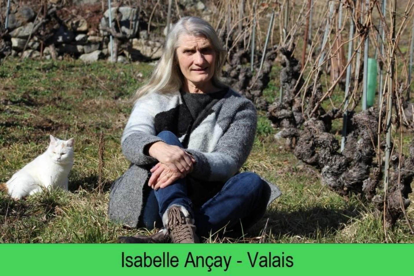 images/vigne-rolle/vigneronnes/Ancay2_page-0001.jpg#joomlaImage://local-images/vigne-rolle/vigneronnes/Ancay2_page-0001.jpg?width=1431&height=953