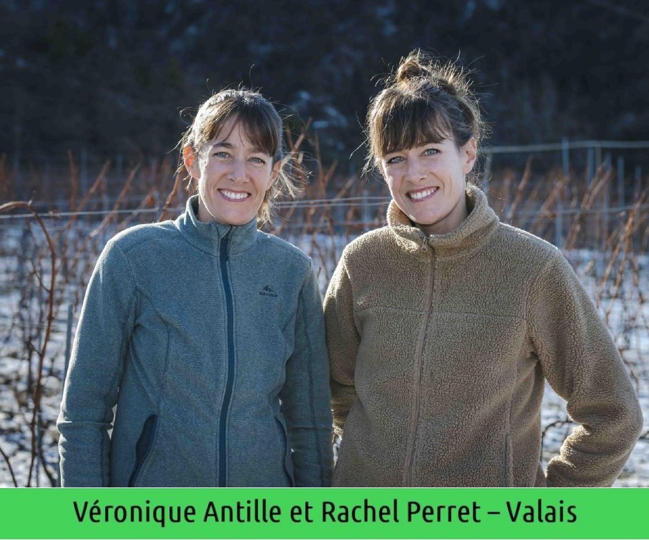 images/vigne-rolle/vigneronnes/Antille%20Perret_page-0001.jpg#joomlaImage://local-images/vigne-rolle/vigneronnes/Antille Perret_page-0001.jpg?width=938&height=781