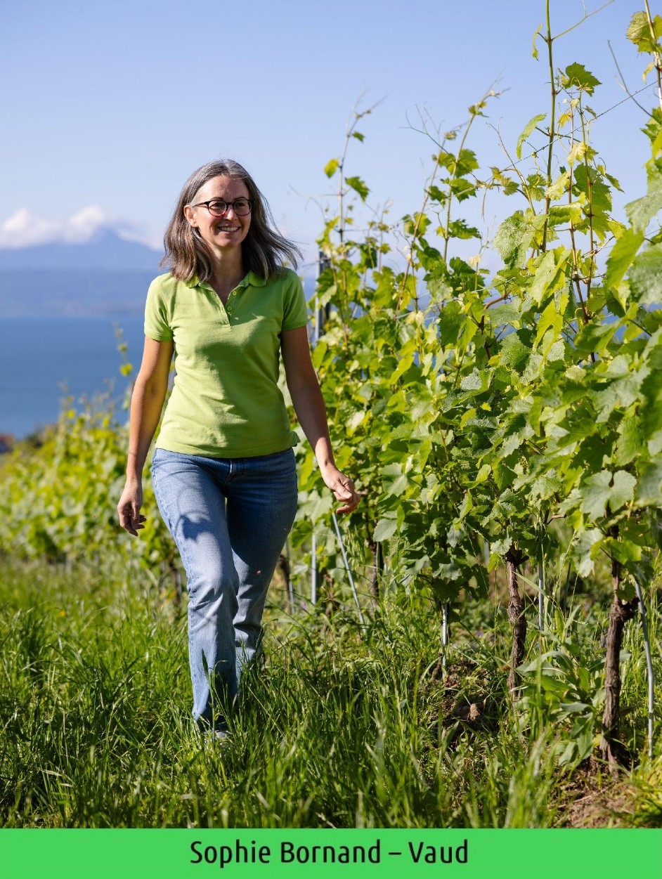 images/vigne-rolle/vigneronnes/Bornand%20Sophie_page-0001.jpg#joomlaImage://local-images/vigne-rolle/vigneronnes/Bornand Sophie_page-0001.jpg?width=942&height=1251