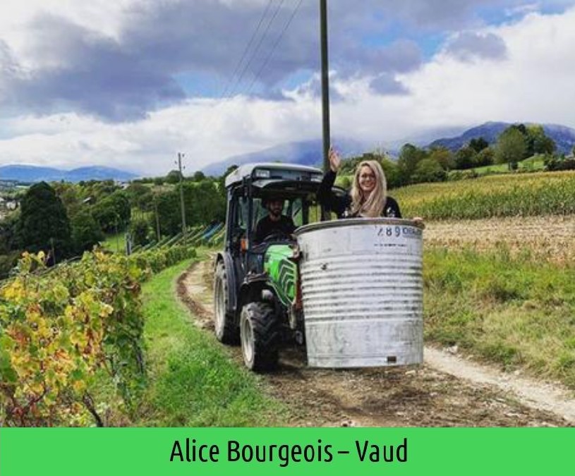 images/vigne-rolle/vigneronnes/Bourgeois_Alice_page-0001.jpg#joomlaImage://local-images/vigne-rolle/vigneronnes/Bourgeois_Alice_page-0001.jpg?width=815&height=675