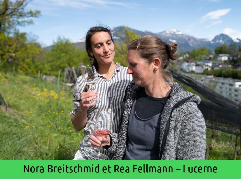 images/vigne-rolle/vigneronnes/Breitschmid%20Fellmann_page-0001.jpg#joomlaImage://local-images/vigne-rolle/vigneronnes/Breitschmid Fellmann_page-0001.jpg?width=941&height=701