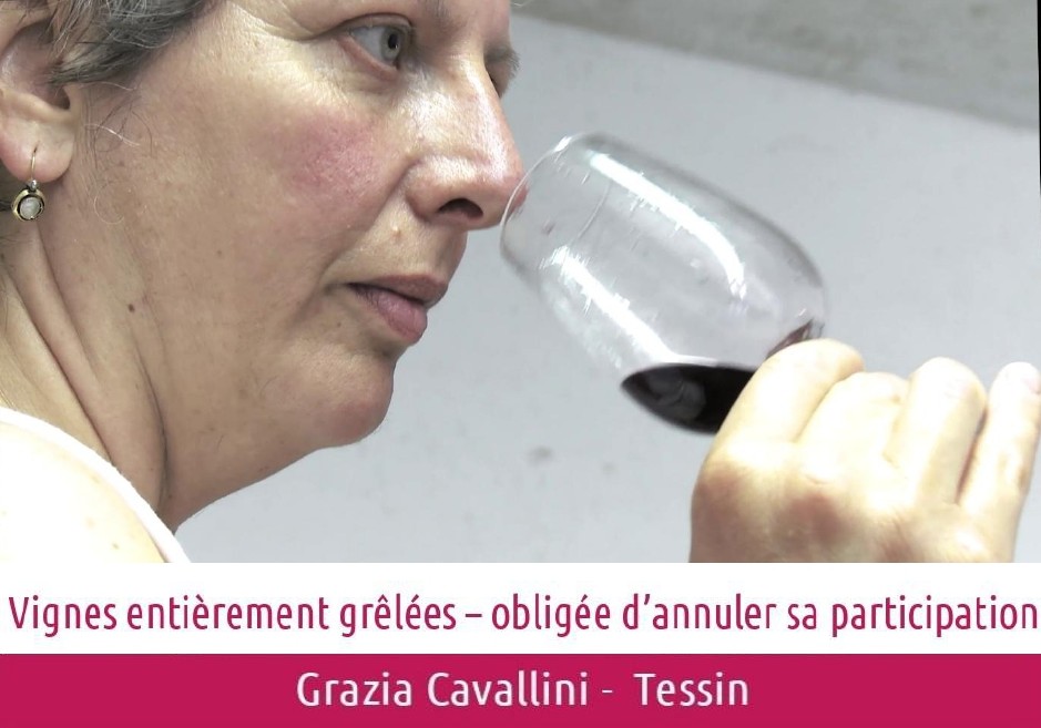 images/vigne-rolle/vigneronnes/Cavallini%20Grazia_annulation.jpg#joomlaImage://local-images/vigne-rolle/vigneronnes/Cavallini Grazia_annulation.jpg?width=939&height=657