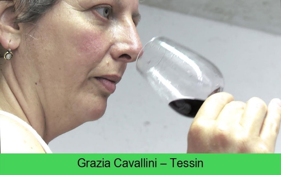 images/vigne-rolle/vigneronnes/Cavallini%20Grazia_page-0001.jpg#joomlaImage://local-images/vigne-rolle/vigneronnes/Cavallini Grazia_page-0001.jpg?width=938&height=584