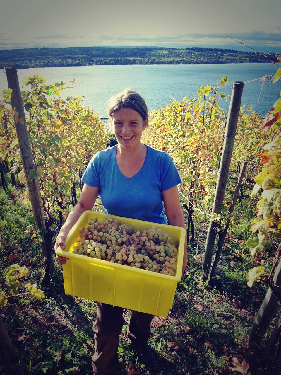images/vigne-rolle/vigneronnes/Christe%20Martina.jpg#joomlaImage://local-images/vigne-rolle/vigneronnes/Christe Martina.jpg?width=960&height=1280