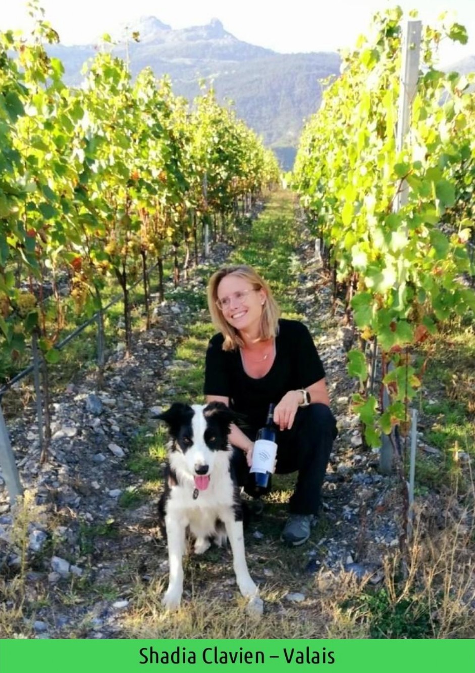 images/vigne-rolle/vigneronnes/Clavien%20Shadia_page-0001.jpg#joomlaImage://local-images/vigne-rolle/vigneronnes/Clavien Shadia_page-0001.jpg?width=941&height=1332