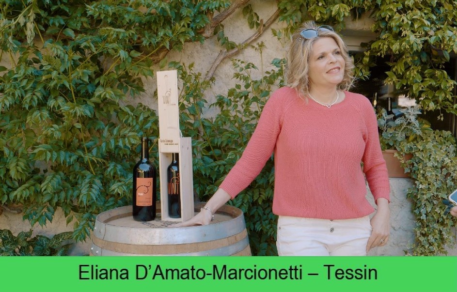 images/vigne-rolle/vigneronnes/DAmato_page-0001.jpg#joomlaImage://local-images/vigne-rolle/vigneronnes/DAmato_page-0001.jpg?width=943&height=603