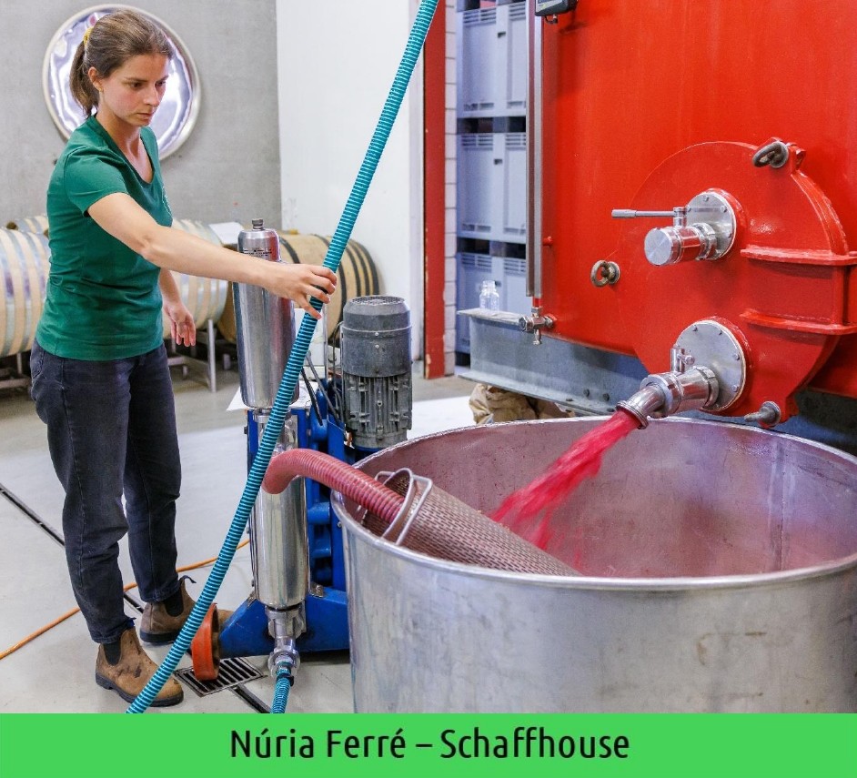 images/vigne-rolle/vigneronnes/Ferre%20Nuria_page-0001.jpg#joomlaImage://local-images/vigne-rolle/vigneronnes/Ferre Nuria_page-0001.jpg?width=942&height=855