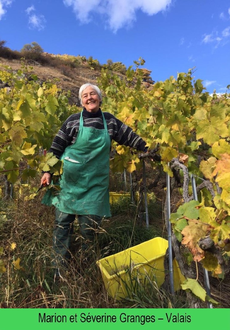images/vigne-rolle/vigneronnes/Granges_page-00011.jpg#joomlaImage://local-images/vigne-rolle/vigneronnes/Granges_page-00011.jpg?width=746&height=1069