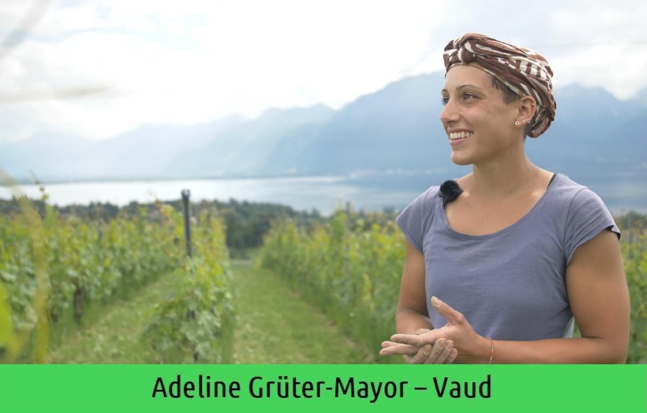 images/vigne-rolle/vigneronnes/Gruter-Mayor%20Adeline_page-0001.jpg#joomlaImage://local-images/vigne-rolle/vigneronnes/Gruter-Mayor Adeline_page-0001.jpg?width=944&height=602