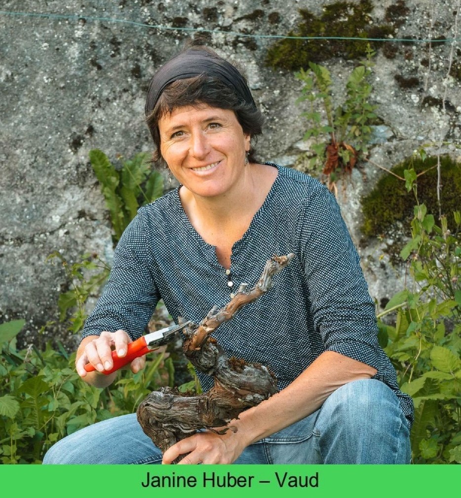 images/vigne-rolle/vigneronnes/Huber%20Janine_page-0001_2.jpg#joomlaImage://local-images/vigne-rolle/vigneronnes/Huber Janine_page-0001_2.jpg?width=934&height=1008
