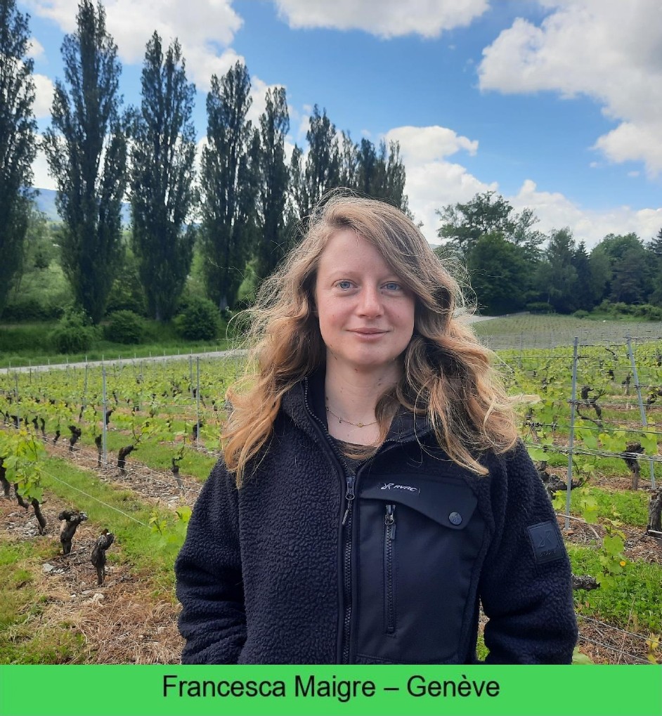 images/vigne-rolle/vigneronnes/Maigre_page-0001.jpg#joomlaImage://local-images/vigne-rolle/vigneronnes/Maigre_page-0001.jpg?width=942&height=1019