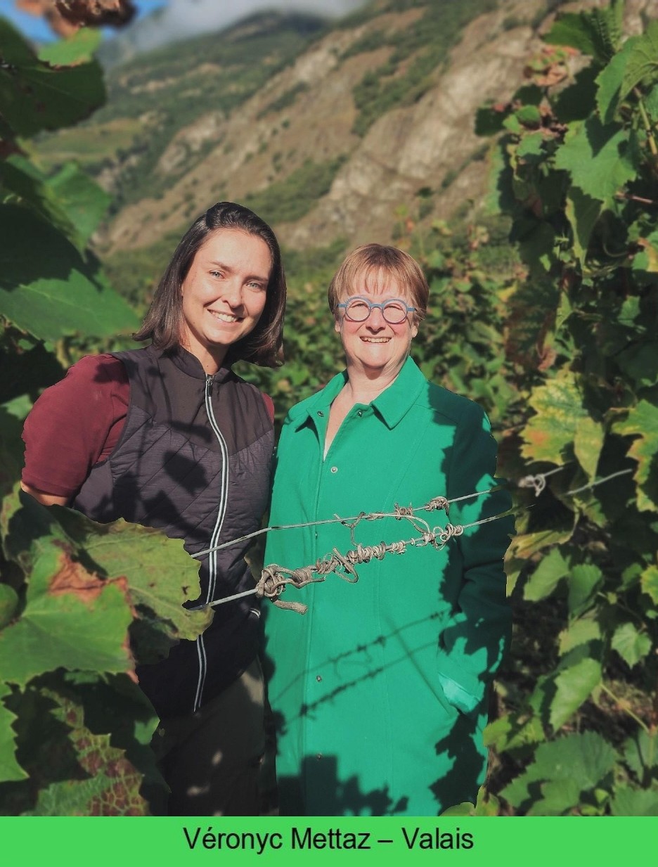 images/vigne-rolle/vigneronnes/Mettaz%20Veronyc_page-0001.jpg#joomlaImage://local-images/vigne-rolle/vigneronnes/Mettaz Veronyc_page-0001.jpg?width=936&height=1233