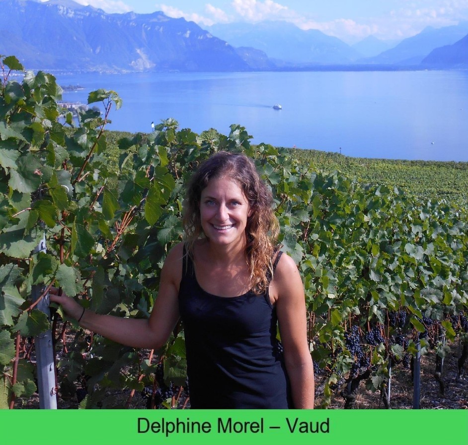 images/vigne-rolle/vigneronnes/Morel%20Delphine_page-0001.jpg#joomlaImage://local-images/vigne-rolle/vigneronnes/Morel Delphine_page-0001.jpg?width=942&height=897