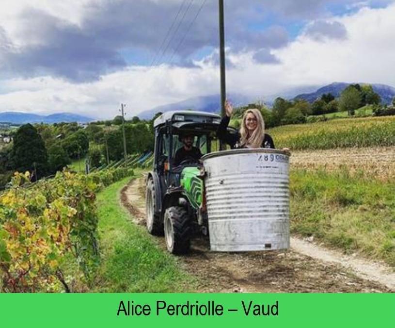 images/vigne-rolle/vigneronnes/Perdriolle%20Alice_page-0001.jpg#joomlaImage://local-images/vigne-rolle/vigneronnes/Perdriolle Alice_page-0001.jpg?width=815&height=676