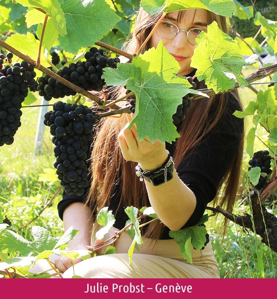 images/vigne-rolle/vigneronnes/Probst%20Julie%20rose_page-00011.jpg#joomlaImage://local-images/vigne-rolle/vigneronnes/Probst Julie rose_page-00011.jpg?width=941&height=1013