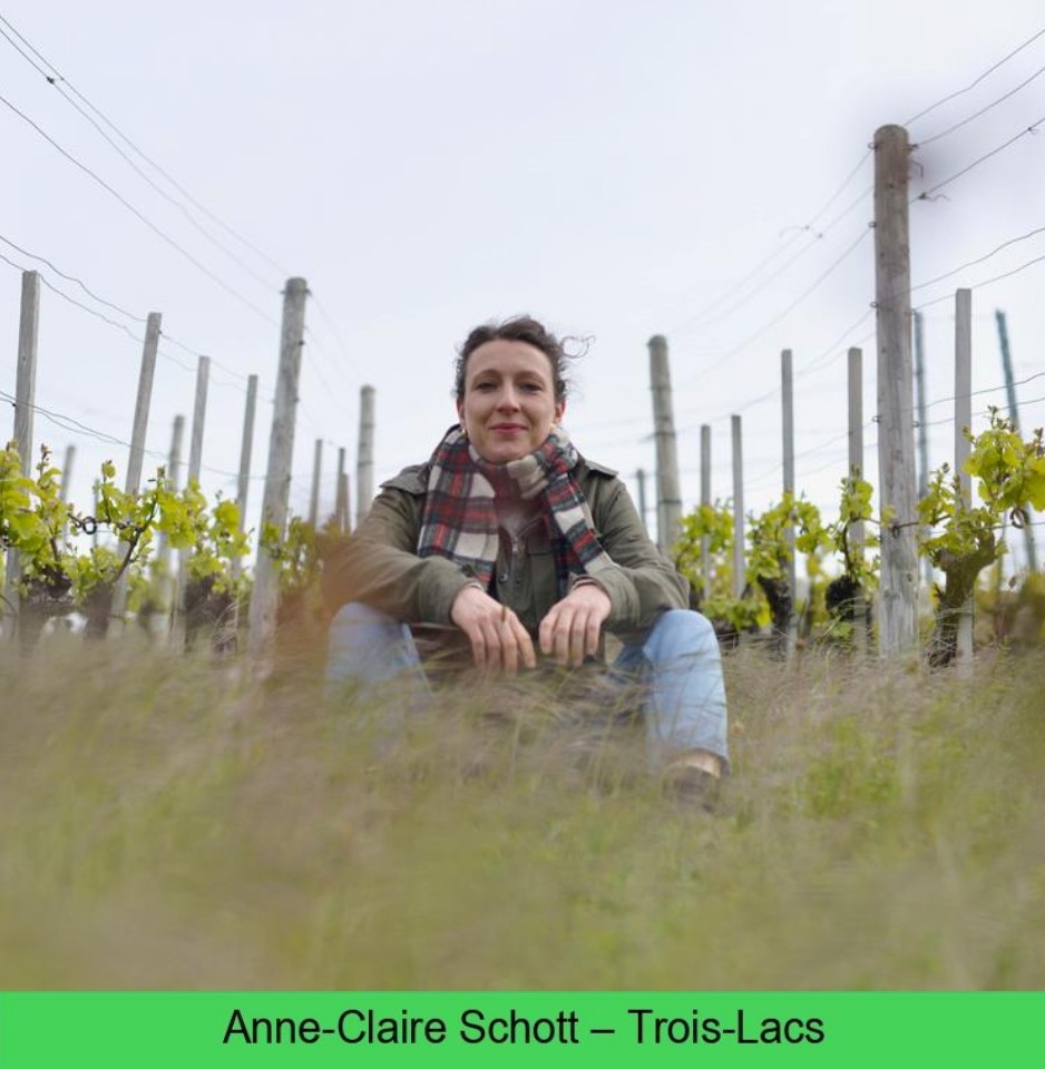 images/vigne-rolle/vigneronnes/Schott_page-0001.jpg#joomlaImage://local-images/vigne-rolle/vigneronnes/Schott_page-0001.jpg?width=938&height=960