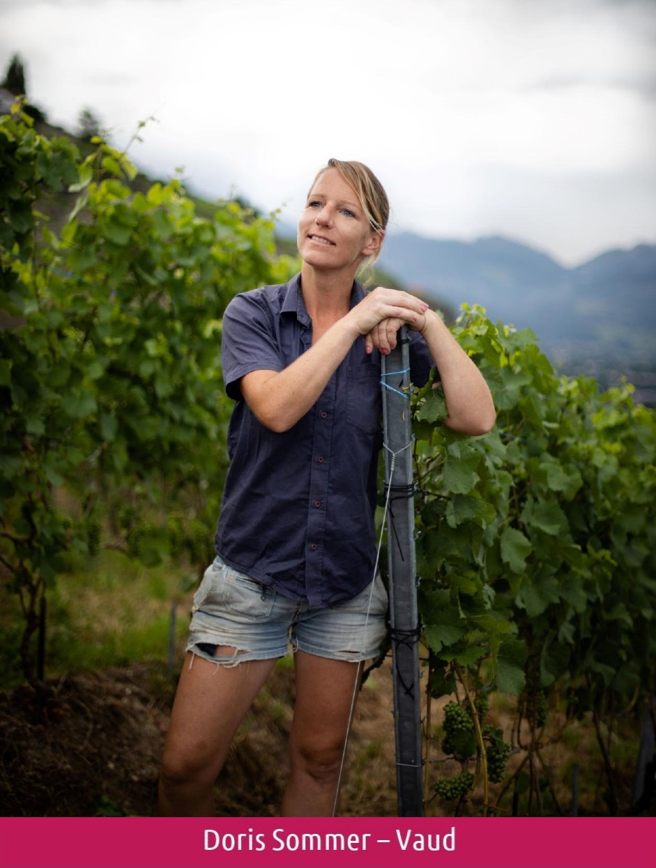 images/vigne-rolle/vigneronnes/Sommer%20Doris.jpg#joomlaImage://local-images/vigne-rolle/vigneronnes/Sommer Doris.jpg?width=941&height=1246