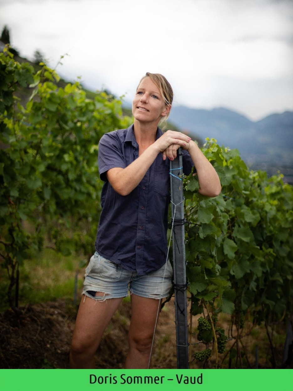 images/vigne-rolle/vigneronnes/Sommer%20Doris_page-0001.jpg#joomlaImage://local-images/vigne-rolle/vigneronnes/Sommer Doris_page-0001.jpg?width=935&height=1246