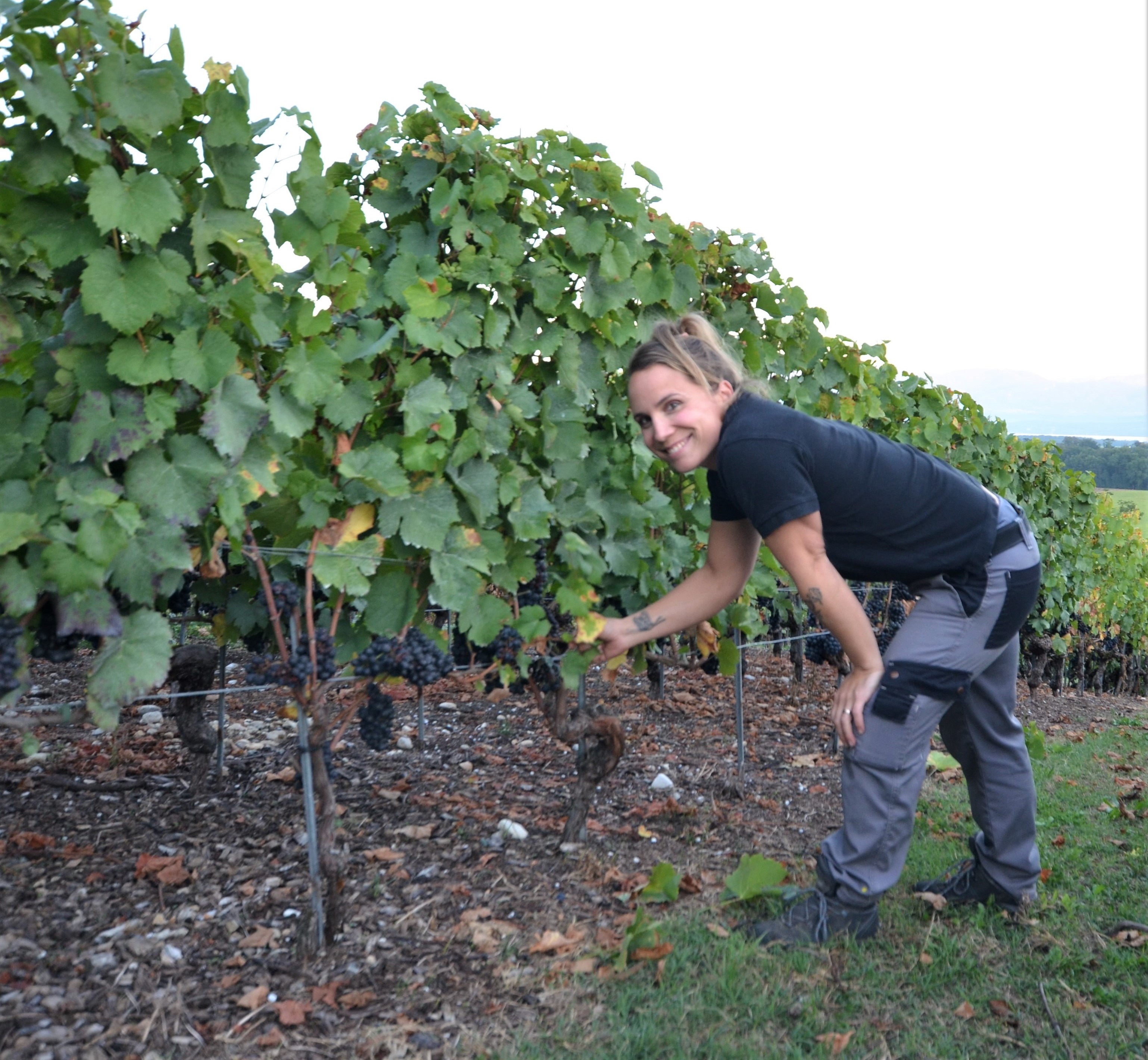 images/vigne-rolle/vigneronnes/Valerie_Bignens-Fisher.jpg